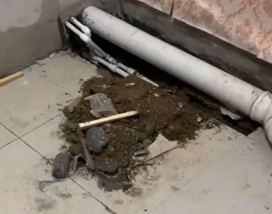 临高卫生间漏水检测哪家好