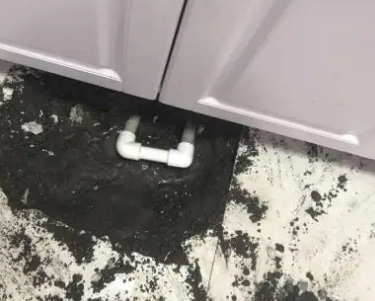 临高查漏水哪家好