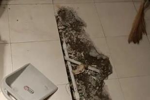 临高卫生间漏水检测电话